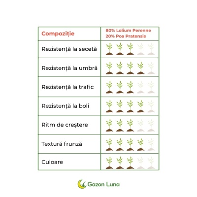 Semințe de gazon profesionale Padana Rigenervit, 5kg, acoperire 150 metri pătrați, pentru gazon dens, uniform și verde imediat - Img 3
