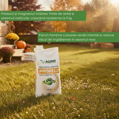 AgroProfi Toamnă – Îngrășământ Gazon 13‑00‑17 + 4 MgO + 2 Fe, 20 kg, până la 800 m², Granule Fine 1‑2 mm, Efect Rapid - Img 5