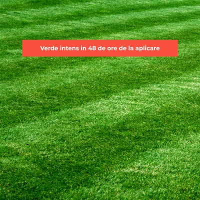 FERTIRON – Îngrășământ foliar gazon 1 L cu Fier Chelat, Alge Marine & Micro‑organisme, Verde Intens și Acoperire până la 2000 m² - Img 4