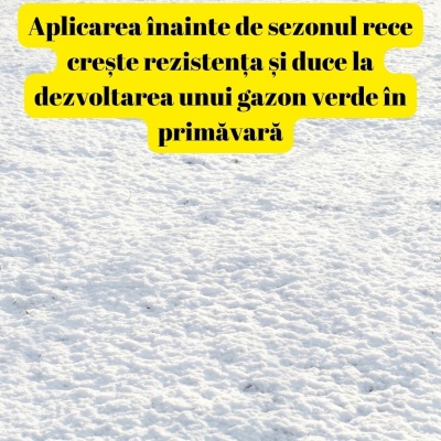 Îngrășământ foliar pentru gazon ALGA ECKLOMAX, 1 litru, acoperire 2000 mp2, alge ECklonia Maxima+aminoacizi - Img 4