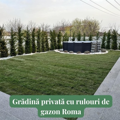 Rulouri de gazon premium Roma pentru Secetă - Img 6