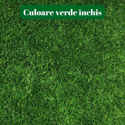 Semințe de gazon profesionale Padana© SportPlay, 1 kg, verde închis, rezistență la seceta, rezistență la călcare, permite tăieri joase - Img 4