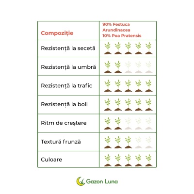 Semințe de gazon profesionale Padana© SportPlay, 1 kg, verde închis, rezistență la seceta, rezistență la călcare, permite tăieri joase - Img 3