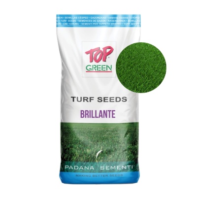 Semințe de gazon profesionale Padana Brillante, 10kg, acoperire 300 metri pătrați, germinare rapidă, gazon fin, uniform și verde intens