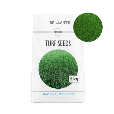 Semințe de gazon profesionale Padana Brillante, 5kg, acoperire 150 metri pătrați, germinare rapidă, gazon fin, uniform și verde intens