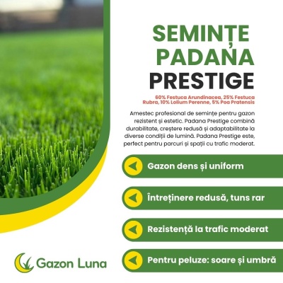 Semințe de gazon profesionale Padana Prestige, 5kg, acoperire 150 metri pătrați, pentru parcuri și spațiii verzi, gazon dens și uniform, cu întreținere redusă - Img 2
