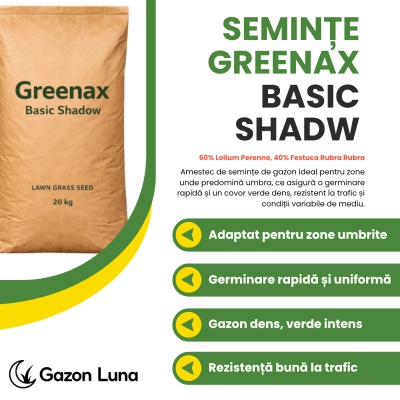 Semințe gazon Greenax Basic Shadow, 20 kilograme, umbră - Img 2