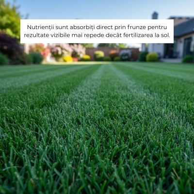 Greenax Bialga+ – Îngrășământ Foliar 1 L cu 15 % Alge Marine pentru Dezvoltare Rădăcini, Rezistență la Stres și Absorbție, Acoperire 1000 m² - Img 5