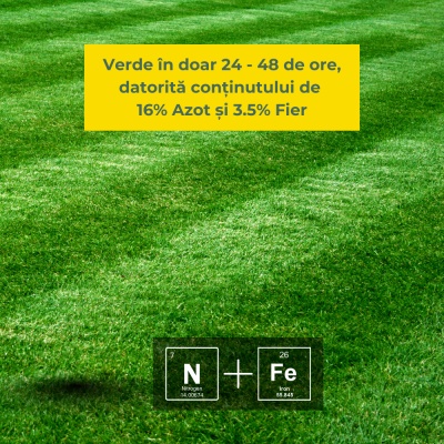 Greenax GREENBOOST – Îngrășământ Foliar Gazon 1 L, NPK 16‑0‑0 + 3.5 % Fier, Pentru Înverzire Rapidă, Eliminare Mușchi și Revitalizare Peluză - Img 7
