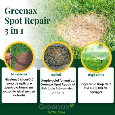 Greenax Spot Repair kit pentru repararea golurilor din gazon cu semințe, îngrășământ și mulch, 1.5 kilograme, 15 pete - Img 2
