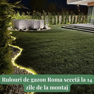Rulouri de gazon premium Roma pentru Secetă - Img 7