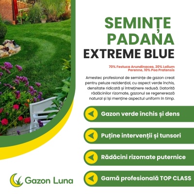 Semințe de gazon profesionale Padana© Extreme Blue, 10 kg, acoperire 350 metri pătrați întreținere redusă, rădăcini rizomate - Img 2