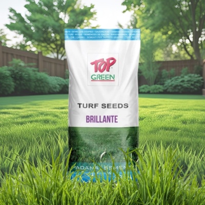 Semințe de gazon profesionale Padana Brillante, 10kg, acoperire 300 metri pătrați, germinare rapidă, gazon fin, uniform și verde intens - Img 8