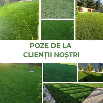 Semințe de gazon profesionale Padana Brillante, 5kg, acoperire 150 metri pătrați, germinare rapidă, gazon fin, uniform și verde intens - Img 7