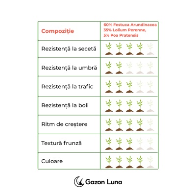 Semințe gazon pentru soare Padana Sun Seed 10 kg, rezistență la secetă, gazon verde intens - Img 3