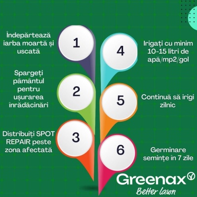 Greenax Spot Repair kit pentru repararea golurilor din gazon cu semințe, îngrășământ și mulch, 1.5 kilograme, 15 pete - Img 3