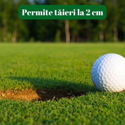 Semințe de gazon profesionale Padana© SportPlay, 1 kg, verde închis, rezistență la seceta, rezistență la călcare, permite tăieri joase - Img 6