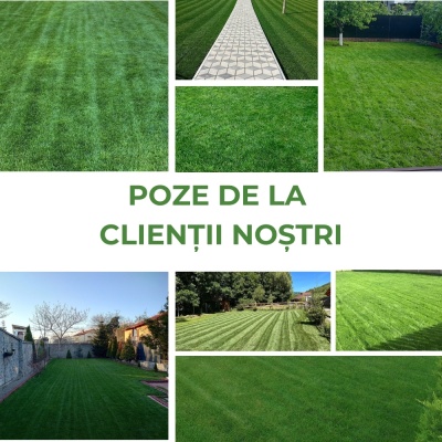 Semințe de gazon profesionale Padana© SportPlay, 1 kg, verde închis, rezistență la seceta, rezistență la călcare, permite tăieri joase - Img 7