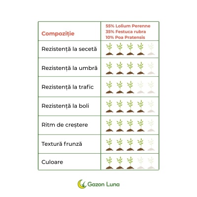 Semințe de gazon profesionale Padana Brillante, 1kg, acoperire 35 metri pătrați, germinare rapidă, gazon fin, uniform și verde intens - Img 3