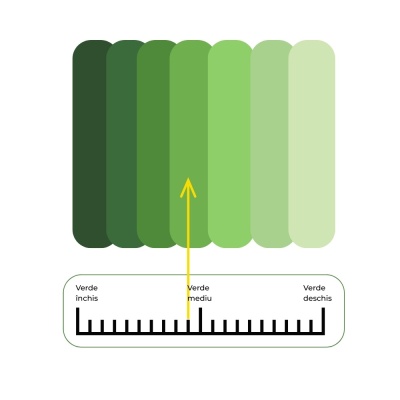 Semințe de gazon profesionale Padana Brillante, 5kg, acoperire 150 metri pătrați, germinare rapidă, gazon fin, uniform și verde intens - Img 4