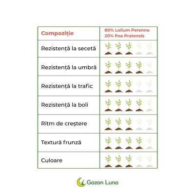 Semințe de gazon profesionale Padana Rigenervit, 10kg, acoperire 300 metri pătrați, pentru gazon dens, uniform și verde imediat - Img 3