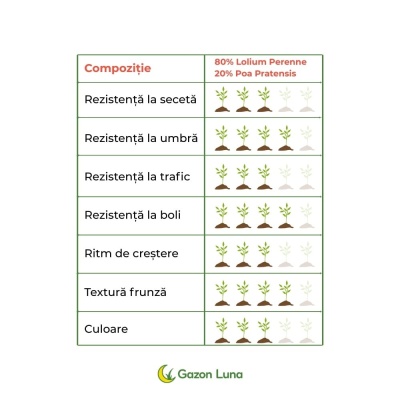 Semințe de gazon profesionale Padana Rigenervit, 1kg, acoperire 35 metri pătrați, pentru gazon dens, uniform și verde imediat - Img 3