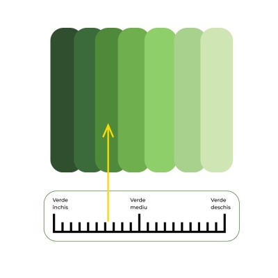 Semințe de gazon profesionale Padana Rigenervit, 5kg, acoperire 150 metri pătrați, pentru gazon dens, uniform și verde imediat - Img 4