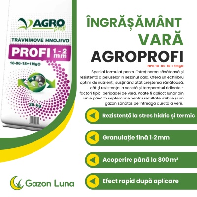 AgroProfi Vară – Îngrășământ Gazon 18‑06‑18 + 1 MgO, 20 kg, până la 800 m², Granule Fine 1‑2 mm, Efect Rapid - Img 2