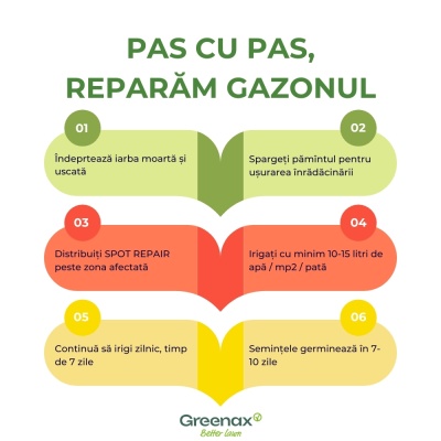 Greenax Spot Repair kit pentru repararea golurilor din gazon cu semințe, îngrășământ și mulch, 1.5 kilograme, 15 pete - Img 5