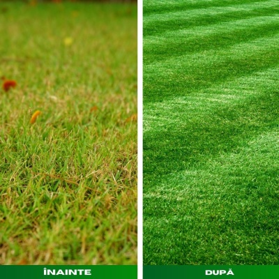 Îngrășământ foliar S.O.S, NPK 14-8-10 + microelemente, pentru salvarea peluzelor în stare precară - Img 3