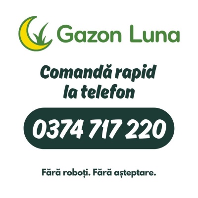 Rulouri de gazon SECETĂ Roma Premium - Img 9