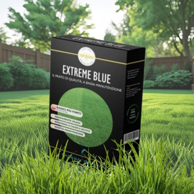 Semințe de gazon profesionale Padana© Extreme Blue, 1 kg, acoperire 35 metri pătrați întreținere redusă, rădăcini rizomate - Img 8