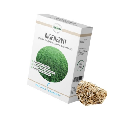 Semințe de gazon profesionale Padana Rigenervit, 1kg, acoperire 35 metri pătrați, pentru gazon dens, uniform și verde imediat