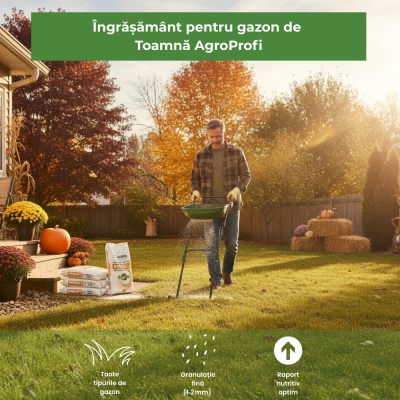 AgroProfi Toamnă – Îngrășământ Gazon 12‑05‑24 + 2 MgO, 20 kg, până la 800 m², Granule Fine 1‑2 mm, Efect Rapid - Img 3