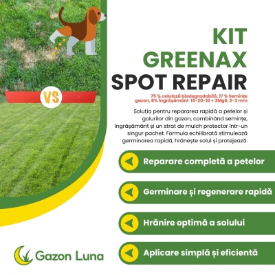 Greenax Spot Repair kit pentru repararea golurilor din gazon cu semințe, îngrășământ și mulch, 1.5 kilograme, 15 pete - Img 2
