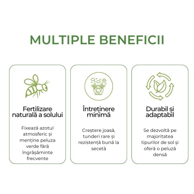 Mixt semințe de trifoi pitic, întreținere redusă, 0,5 kg - Img 5
