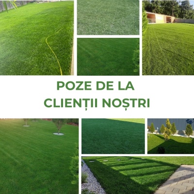 Semințe de gazon profesionale Padana Brillante, 1kg, acoperire 35 metri pătrați, germinare rapidă, gazon fin, uniform și verde intens - Img 7