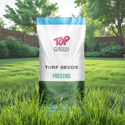 Semințe de gazon profesionale Padana Prestige, 10kg, acoperire 300 metri pătrați, pentru parcuri și spațiii verzi, gazon dens și uniform, cu întreținere redusă - Img 8