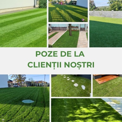 Semințe de gazon profesionale Padana Rigenervit, 10kg, acoperire 300 metri pătrați, pentru gazon dens, uniform și verde imediat - Img 7