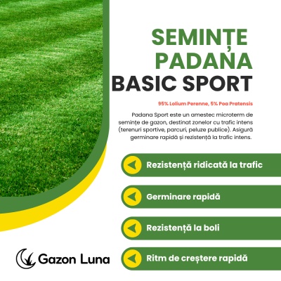 Semințe gazon trafic intens Padana Sport - regenerare rapidă, gazon rezistent, 10 kg - Img 2