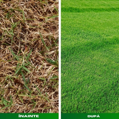 Îngrășământ foliar pentru gazon FERTIRON 1 litru, verde instant, acoperire 2000 mp2, fier+alge+micro organisme - Img 4