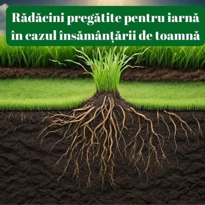 Îngrășământ foliar ROOTPOWER pentru montarea gazonului rulou, acizi humici, azot, materie organică, acizi fulvici - Img 3