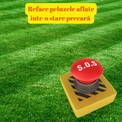 Îngrășământ foliar S.O.S, NPK 14-8-10 + microelemente, pentru salvarea peluzelor în stare precară - Img 5