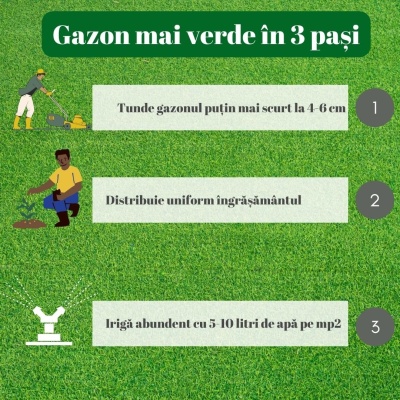 Îngrășământ organic pentru gazon Greenax BioTurf+, 10 kg, acoperire 200-350 mp2, fier, acizi humici, acizi fulvici, alge marine - Img 3