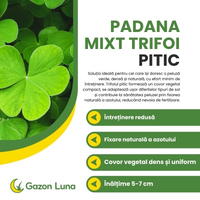 Mixt semințe de trifoi pitic, întreținere redusă, 0,5 kg - Img 2