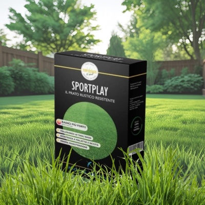 Semințe de gazon profesionale Padana© SportPlay, 1 kg, verde închis, rezistență la seceta, rezistență la călcare, permite tăieri joase - Img 10