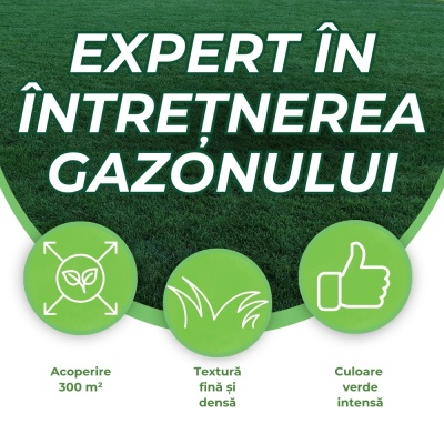 Semințe de gazon profesionale Padana Brillante, 10kg, acoperire 300 metri pătrați, germinare rapidă, gazon fin, uniform și verde intens - Img 6