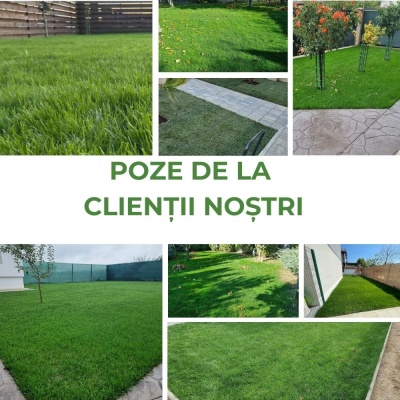 Semințe de gazon profesionale Padana Prestige, 5kg, acoperire 150 metri pătrați, pentru parcuri și spațiii verzi, gazon dens și uniform, cu întreținere redusă - Img 7