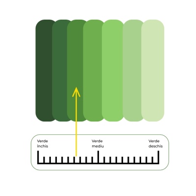 Semințe de gazon profesionale Padana Rigenervit, 10kg, acoperire 300 metri pătrați, pentru gazon dens, uniform și verde imediat - Img 4