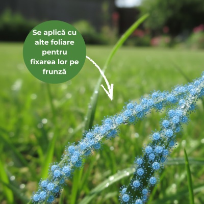 FERTI3A – Aditiv Foliar 1 L pentru Gazon cu Acțiune Adezivă, Antispumantă și Acidifiantă, Acoperire până la 2000 m² - Img 7
